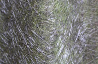 Penrhiwfer fibreglass roof work